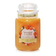 Yankee Candle LIMITED EDITION Orange Dreamsicle Large Jar